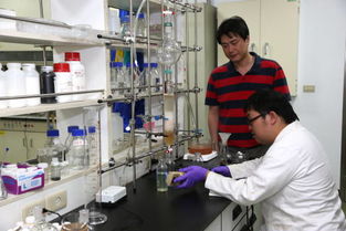 嘉大研究團隊研發高效能太陽能電池登上國際期刊，引領新興能源技術研發新浪潮